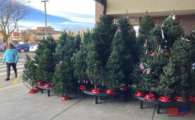 Expect to pay more for Christmas trees, experts say