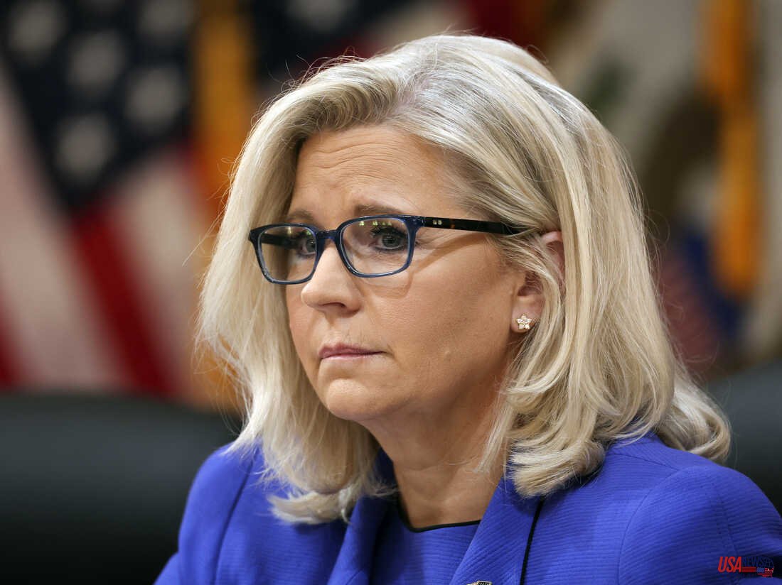 Liz Cheney delivers a harsh message to GOP members who continue supporting Trump