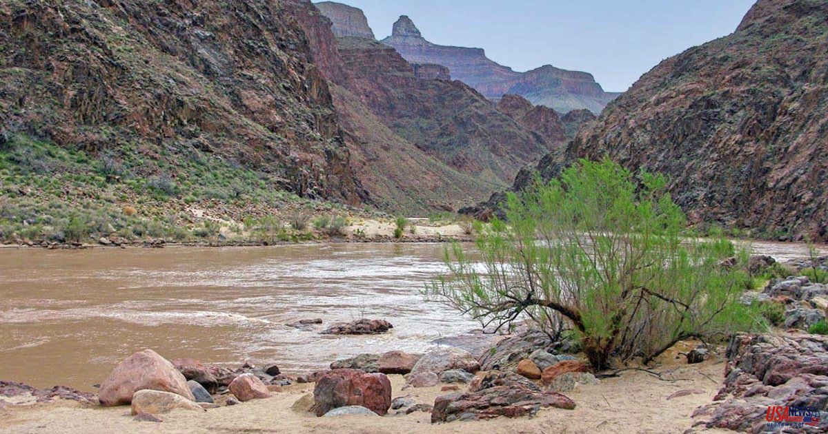 Woman is killed after being caught in the Colorado River in Grand Canyon