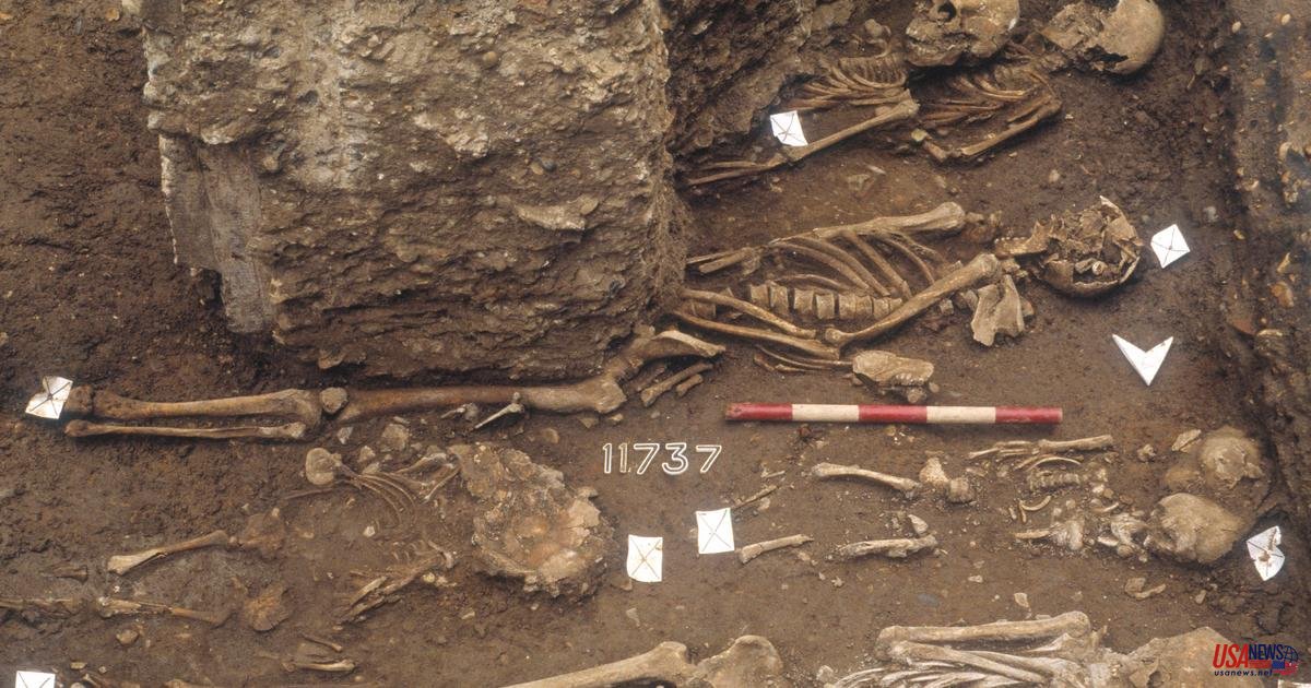 Researchers say the mystery of Black Death's origin has been solved almost 700 years later