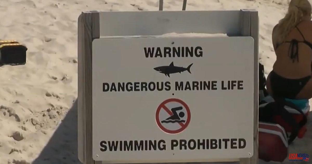 Long Island: Shark attacks lifeguards during a training exercise
