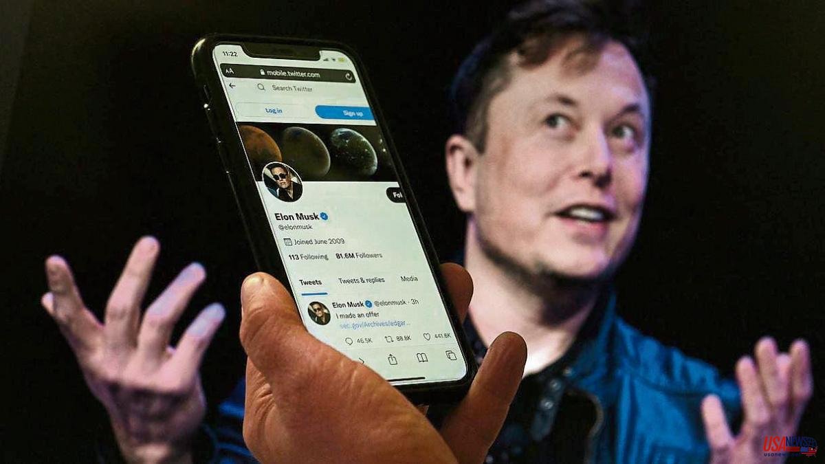 Elon Musk, pop icon at the stroke of Twitter