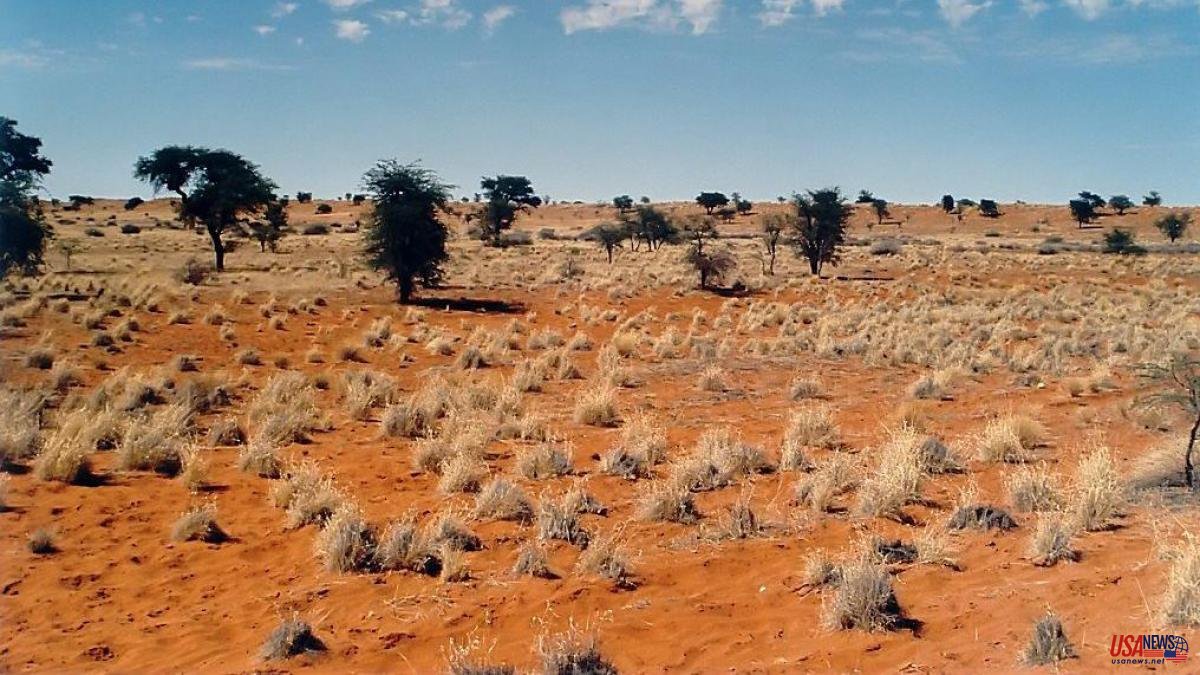 This is how humans survived in the harsh Kalahari desert 20,000 years ago