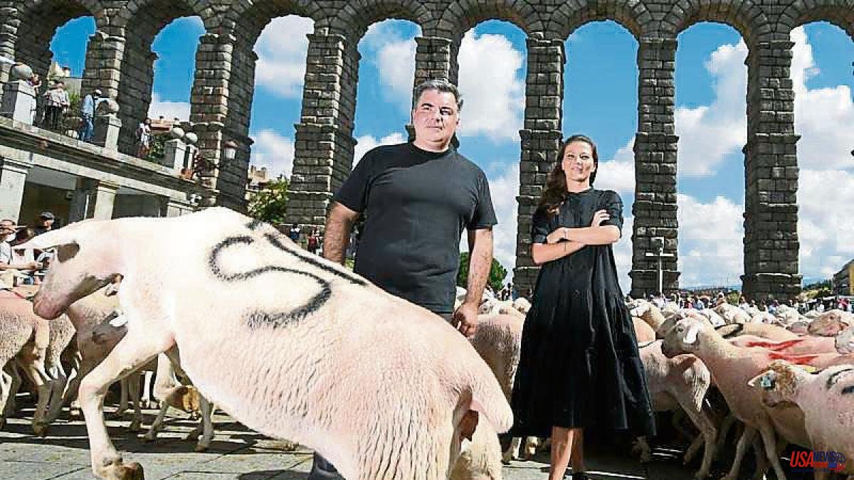A Nobel invades Segovia with hundreds of sheep