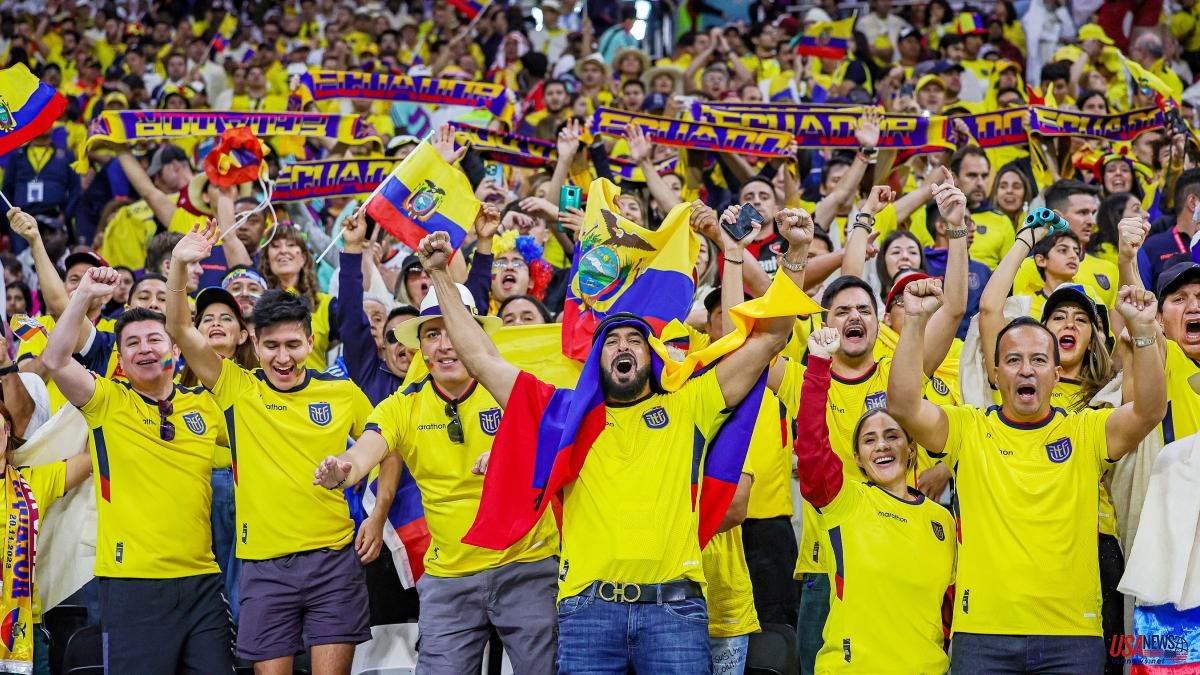 "We want beer": the chant of the Ecuadorian fans in the opening match of the World Cup