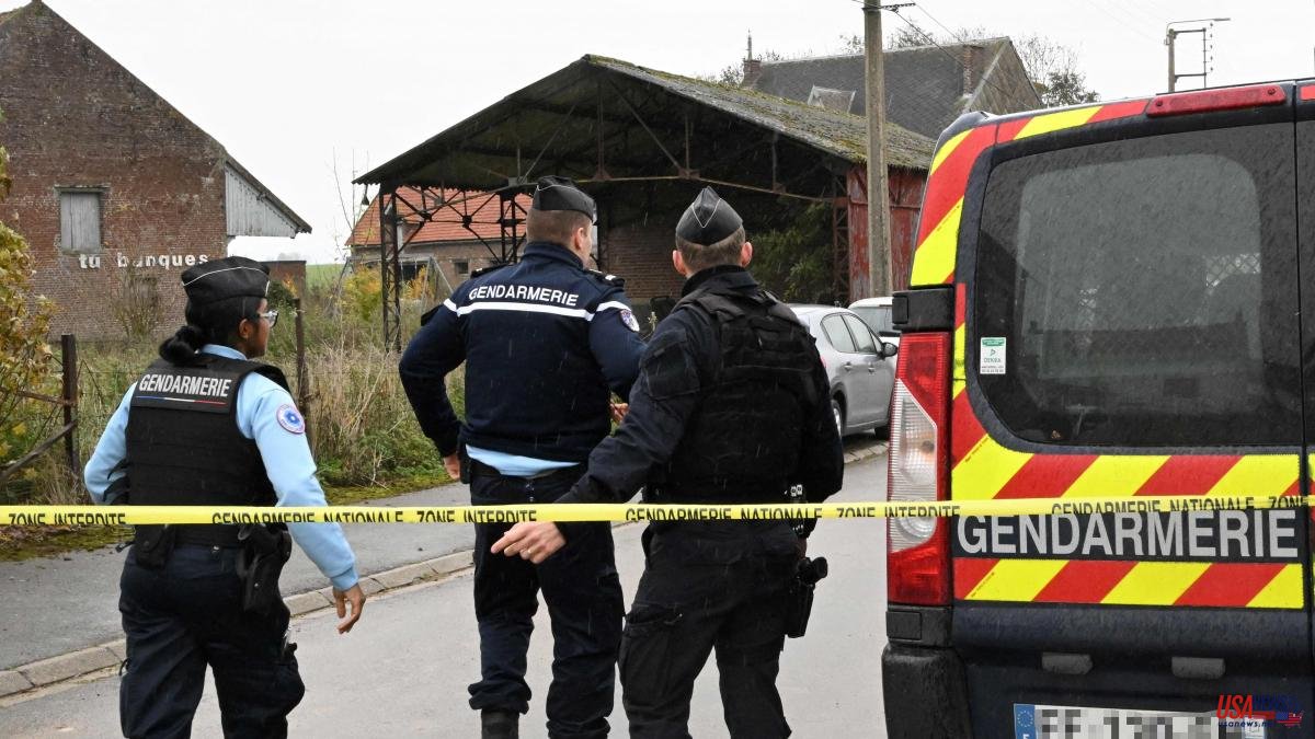 A woman arrested in France after finding two dead babies in her freezer