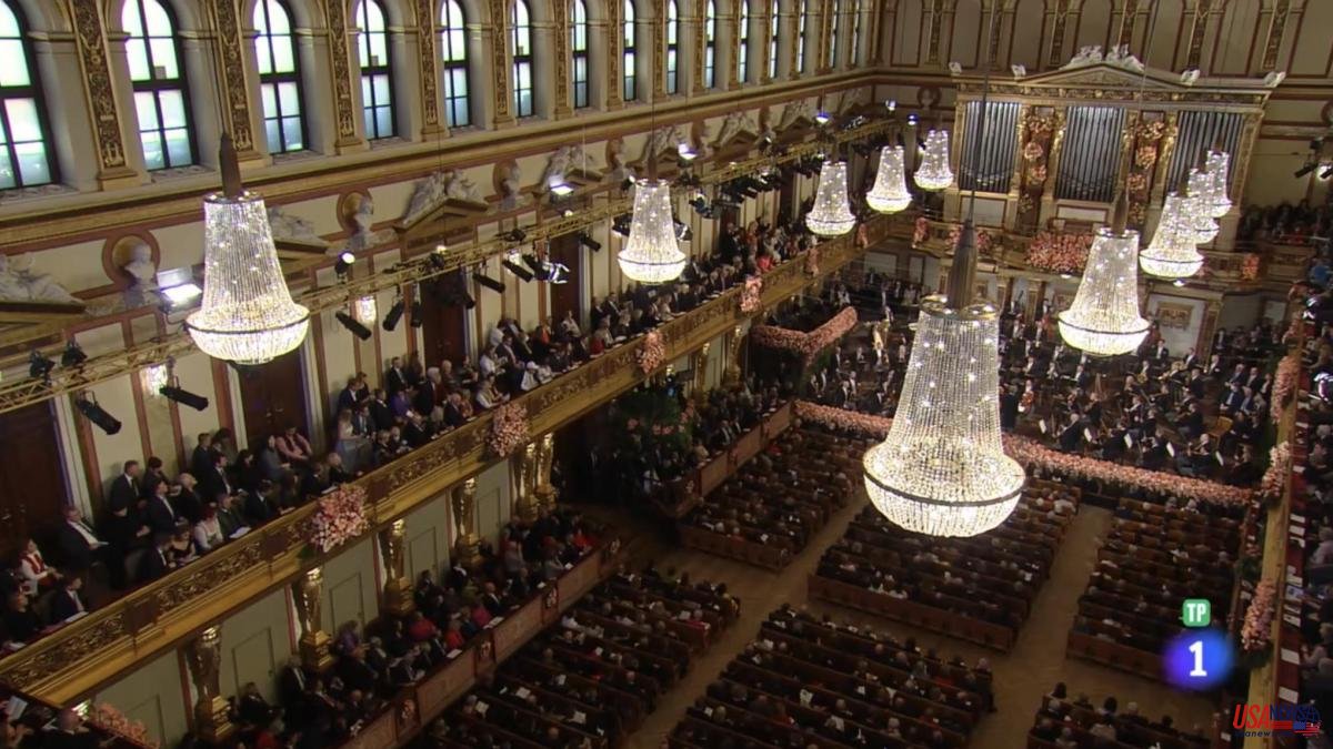 Austrian subtlety and chin-pum at the New Year's Concert. The next one is directed by Thielemann