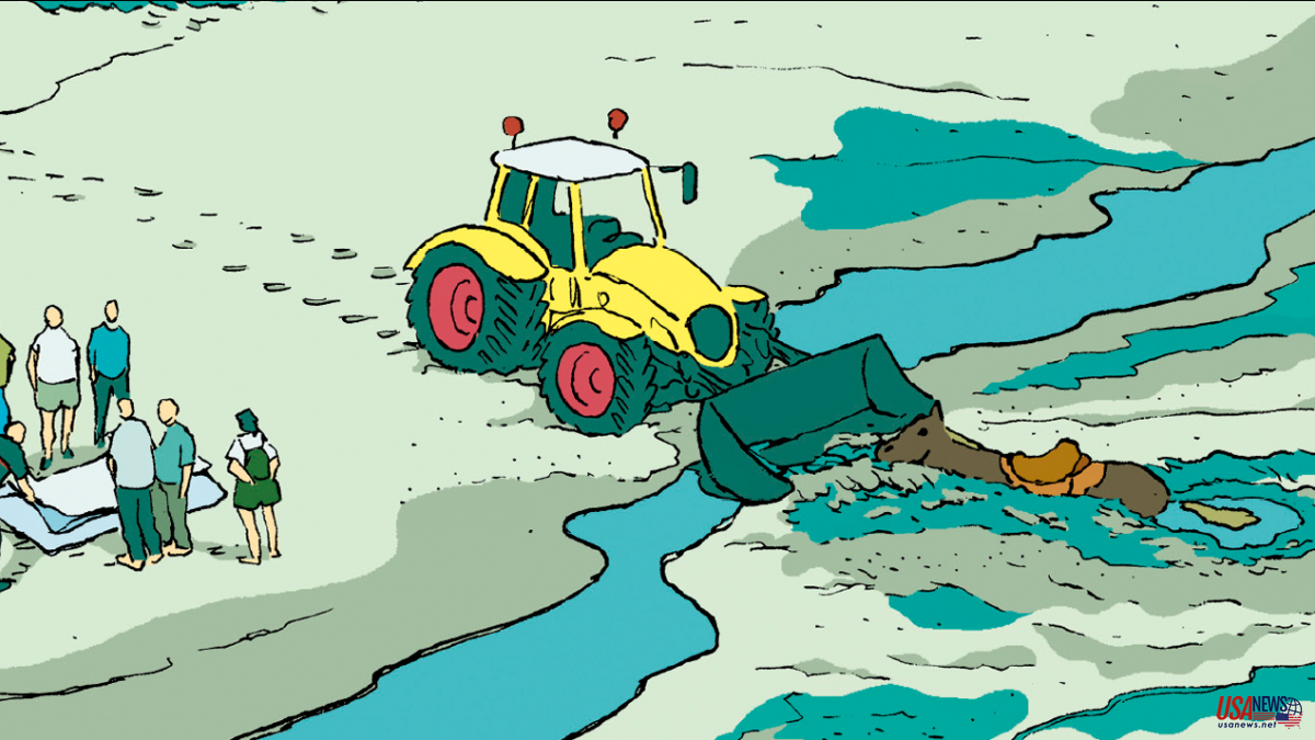 'Green algae', a documentary comic against the production systems of macro-farms
