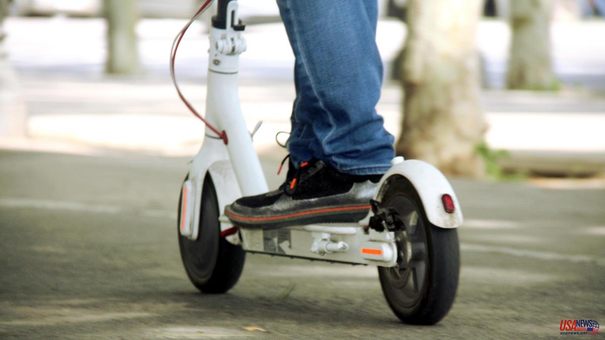 The company that went from distributing fruit and vegetables to scooters