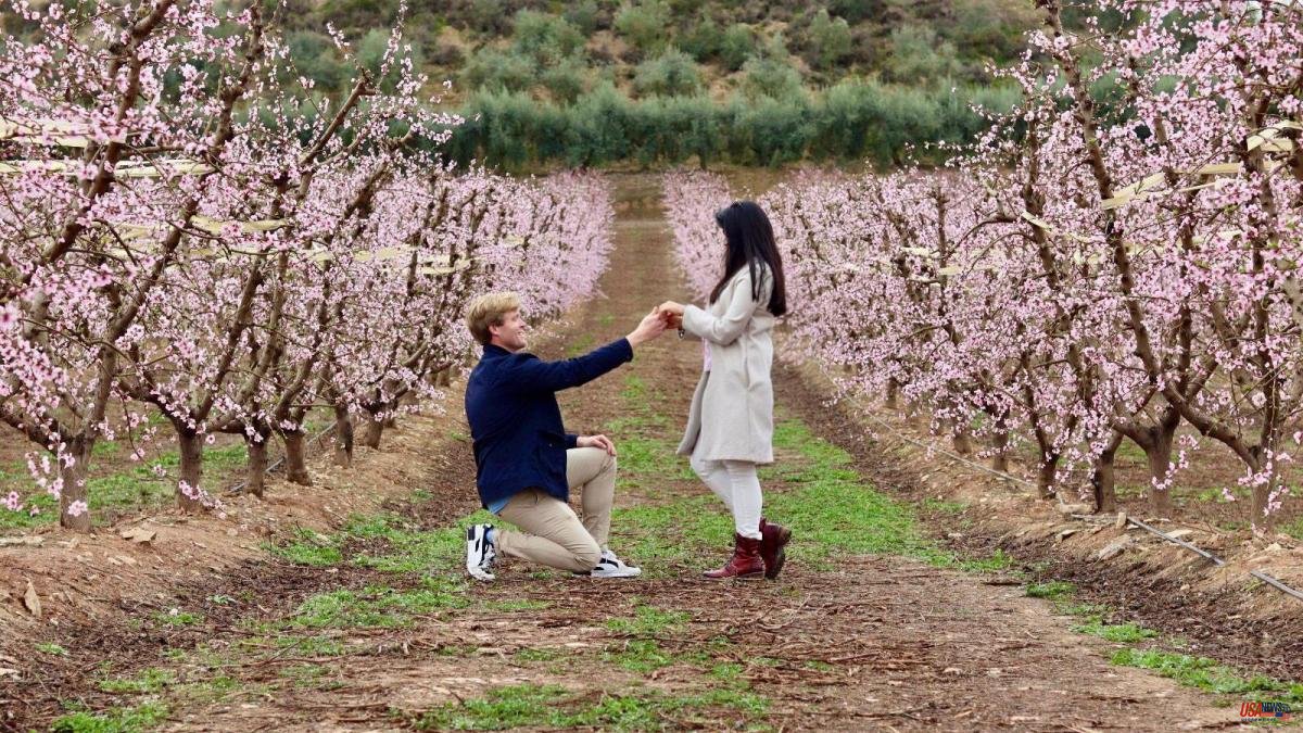 The unexpected and romantic request for marriage between peach blossoms