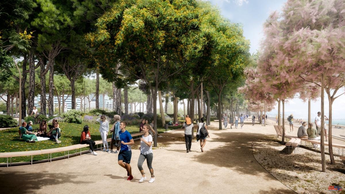 Barcelona will complete the conquest of the seafront with a new promenade in the Mar Bella