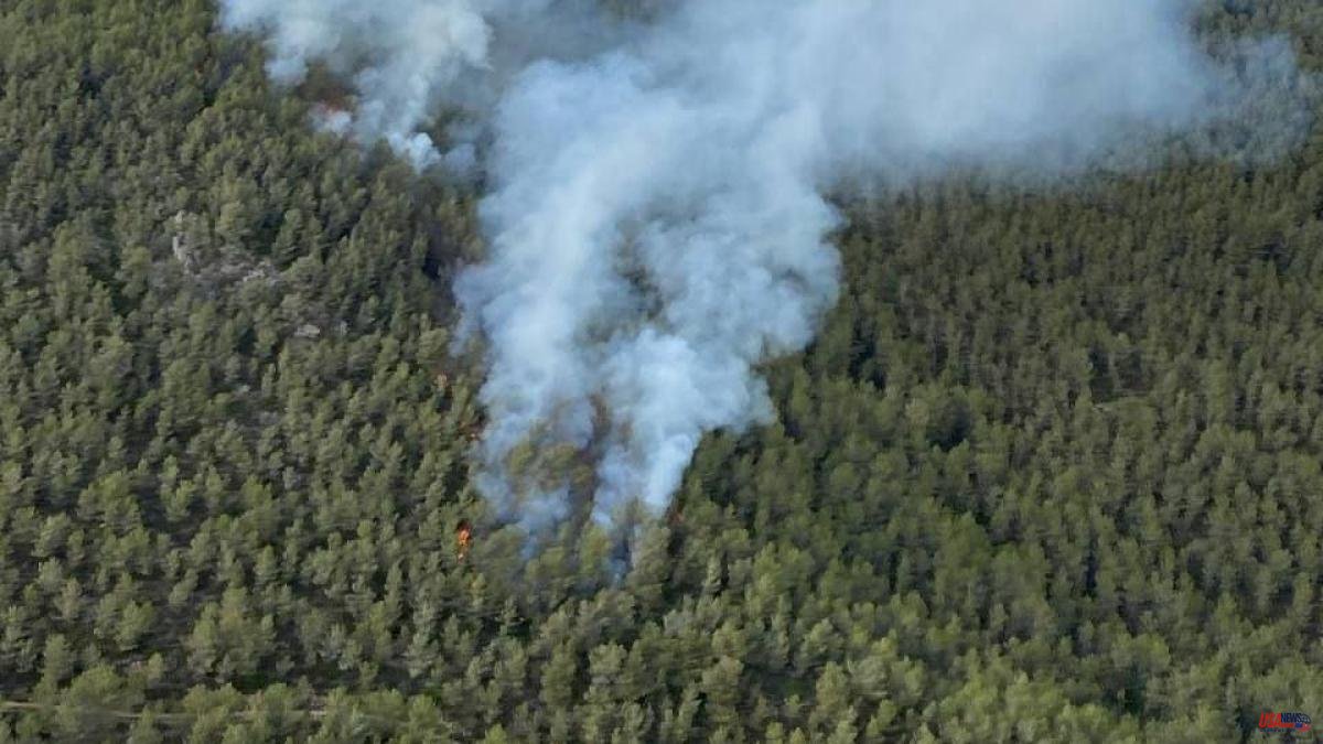 The forest fire declared in the Baix Penedès has been stabilized