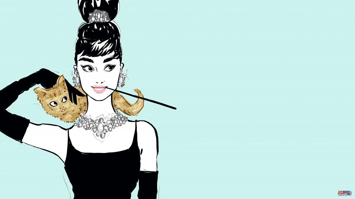 Audrey Hepburn, the illustrated elegance of the icon that has inspired millions of women