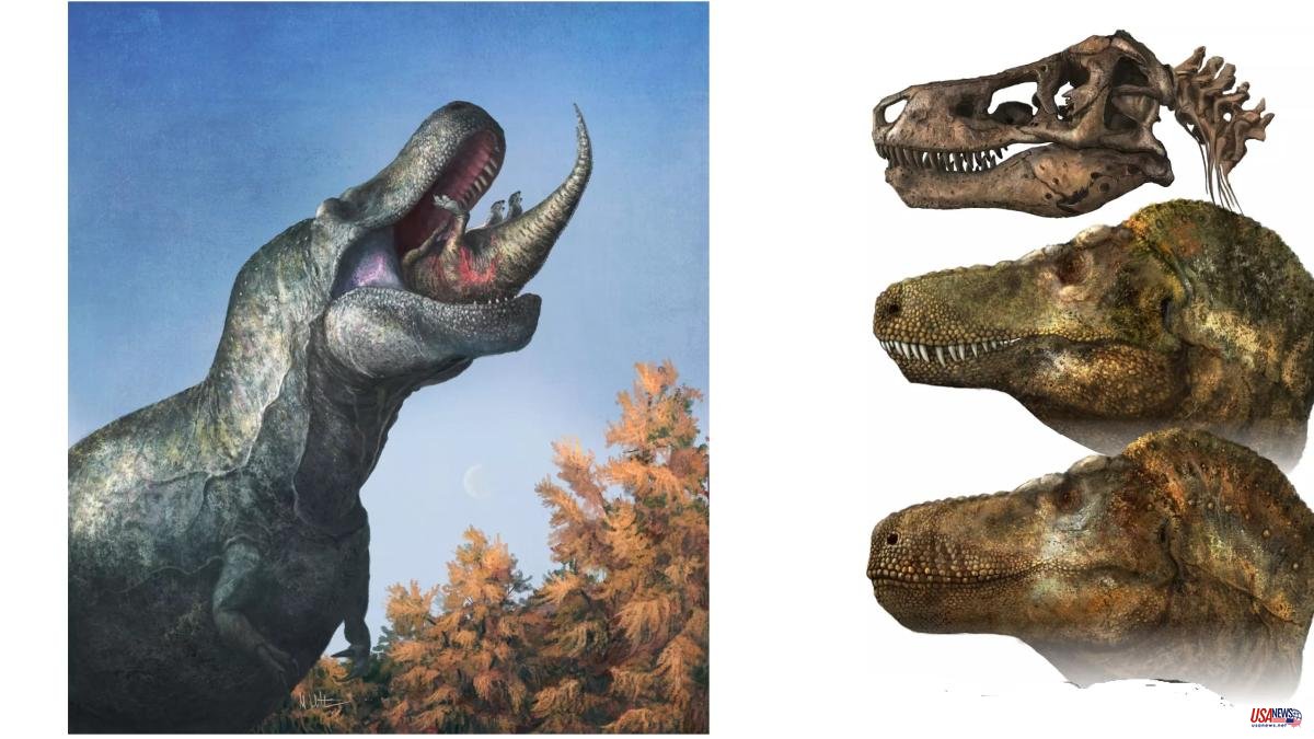 'Jurassic Park' Fixed: Tyrannosaurus Rex Had Lizard-Like Lips That Covered Teeth