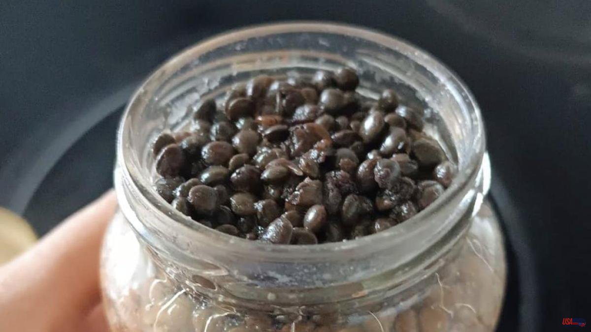 An expert reveals whether it is harmful to eat potted lentils that have turned black