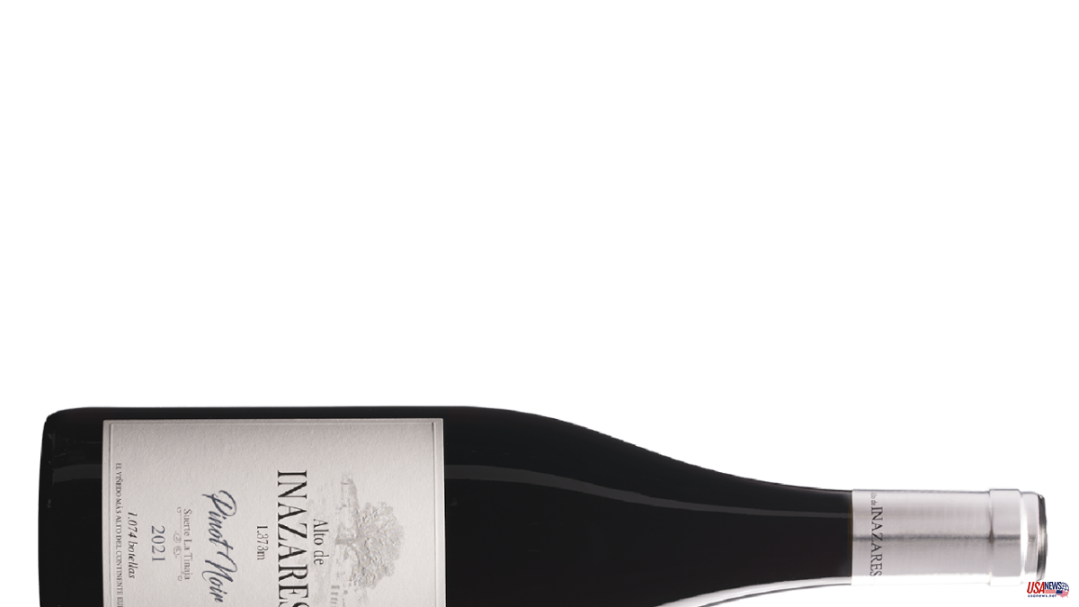 Seven wines that will be your favorites if you love pinot noir