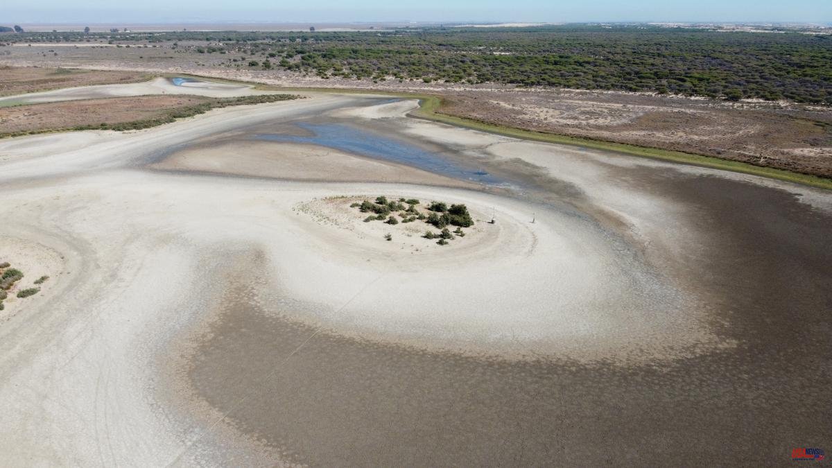 Unesco warns about the continuity of Doñana on the list of World Heritage Sites
