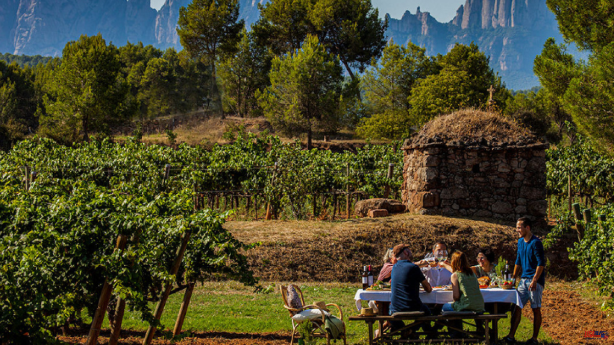DO Pla de Bages, wine history at the foot of Montserrat