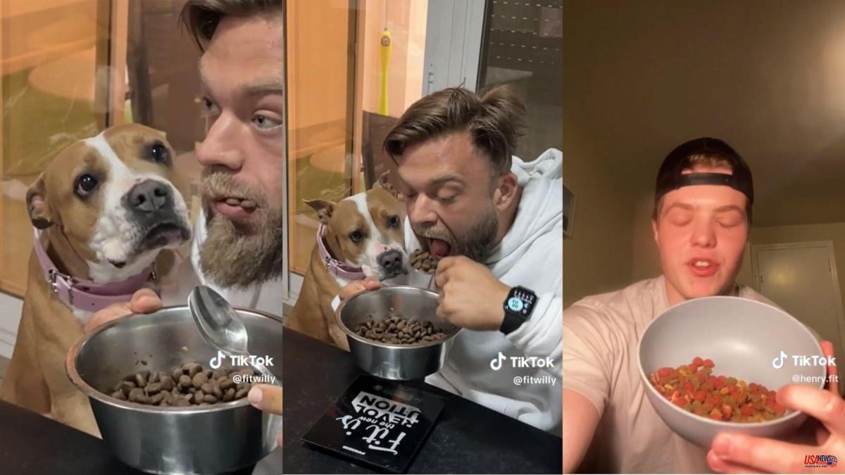 Gain muscle with dog food, the latest trend on TikTok