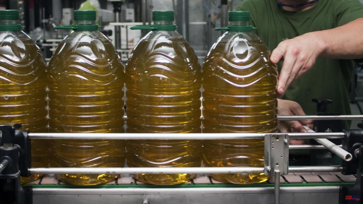 Four people on trial for selling adulterated oil as if it were extra virgin olive