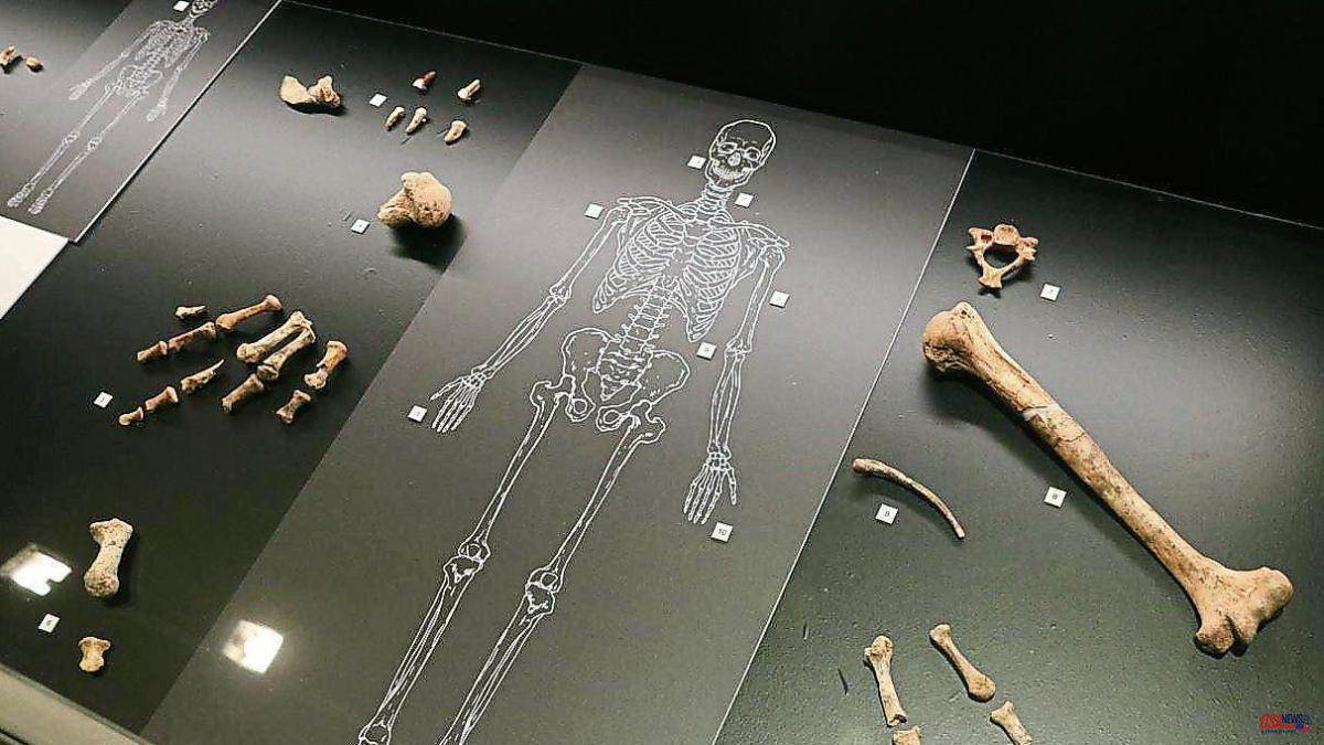 The largest set of Neanderthal fossils in Catalonia found in Cova Simanya