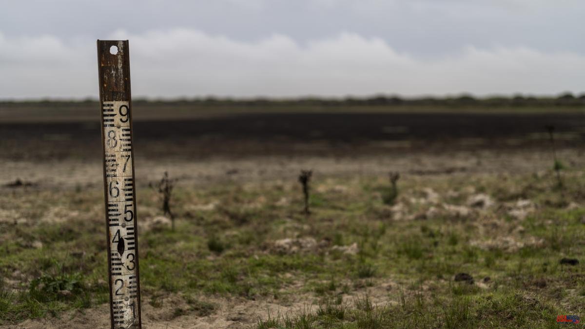 The controversial Doñana Irrigation Law continues and will be approved at the end of September