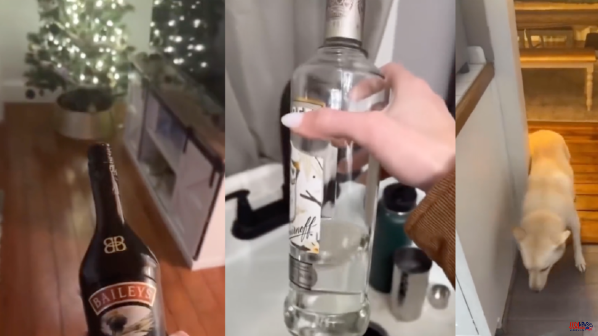 He comes home and finds his dog drunk after drinking a bottle of alcohol: "It's not funny"