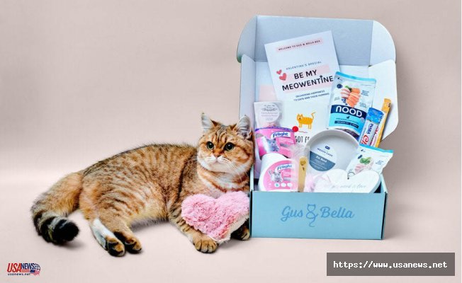 Ideas for Unique and Heartwarming Personalised Gift for Cat Lover