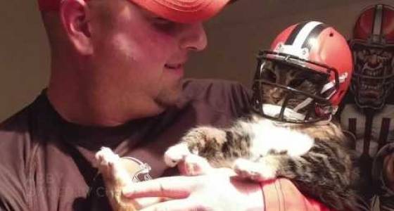 Cutest Cat contestants are 'all in' when it comes to rooting for Cleveland Browns, Cavaliers, Indians (video)