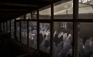 US commission: Cite Afghanistan for religious persecution