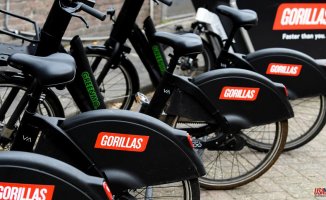 Gorillas is looking for a local partner to invest 25 million in Spain