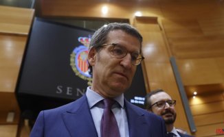 Feijóo is already waiting for Sánchez in the Senate after taking possession of his seat