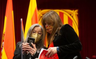 The general secretary of the Parliament, Esther Andreu, resigns for hiring her son as an usher