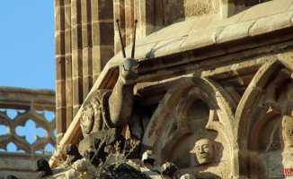 Why is there a snail carved into the cathedral?