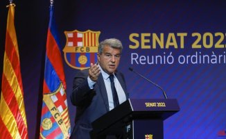 Laporta: "The salary reduction has been substantial but insufficient"