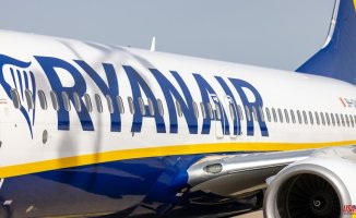 The strike at Ryanair causes the cancellation of 42 flights and delays in another 58, until 1:00 p.m.