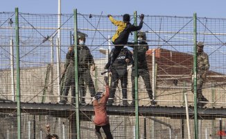 NGOs demand that the deaths of migrants in the jump to the Melilla fence be investigated