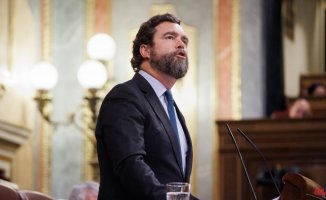 PSOE, PP, Vox and Cs reject the use of co-official languages ​​in Congress