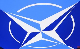 NATO: a success, but nothing to celebrate