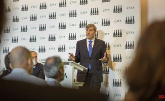Extremadura and Valencia join the Cava Regulatory Council for the first time