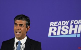 Rishi Sunak, a millionaire in charge of money