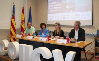 Valencian SMEs warn: it is difficult to find labor to launch their online services
