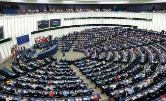 The European Parliament asks to include abortion in the EU bill of rights