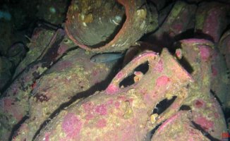 The secrets of Roman wine were hidden at the bottom of the sea