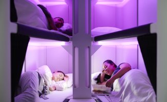 Airline offers bunk beds to economy class passengers