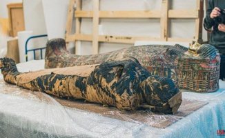 The Mysterious Lady, the pregnant Egyptian mummy, would have died of cancer