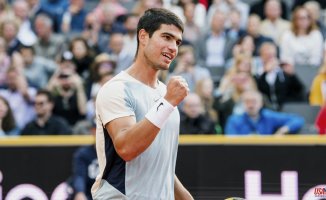 Alcaraz returns to another final after beating Molcan in Hamburg