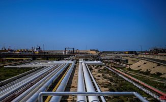 A breakdown reduces the gas flow between Algeria and Spain by 22%