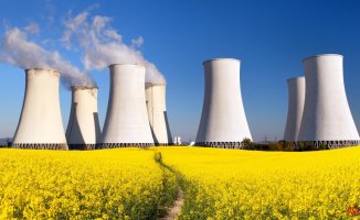How can it affect the consumer that gas and nuclear are green energies?