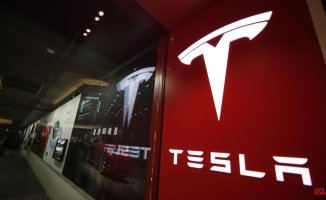 Environmental groups beg Tesla to stop nickel mining plans in Indonesia